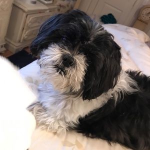 Meet your Posher, Sherrie-lee